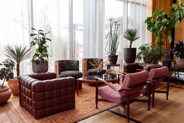 A menagerie of potted greenery at the new Austin Proper hotel, designed with a residential, warm southern hospitality feel in mind.