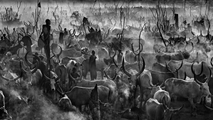 Taken in South Sudan in 2015, this picture was a turning point in Yarrow's career, as it got him represented by a leading US gallery owner.