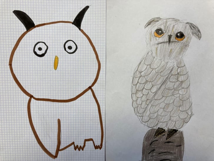 Drawings of owls by present-day children were similar to the owls on the plaques, researchers said. 