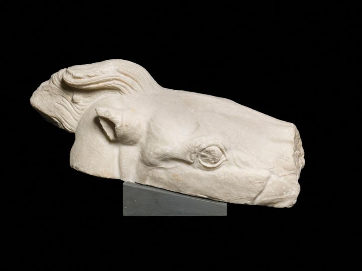 Një nga pjesët përshkruan kokën e kalit që tërhiqte qerren e Athinës.