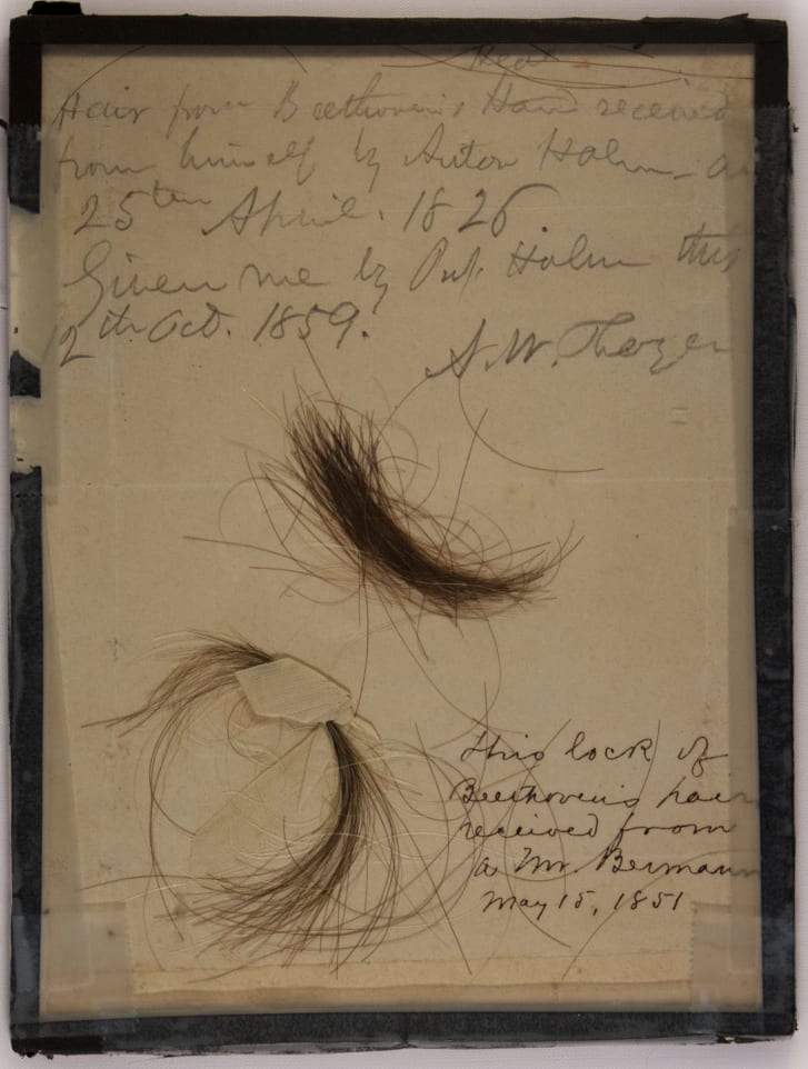 These two locks of hair, including one delivered to pianist Anton Halm by Beethoven, were both authenticated by the study. 