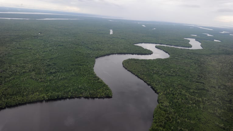 Temburong, Brunei. Image: Romeo Gacad/AFP/Getty Images