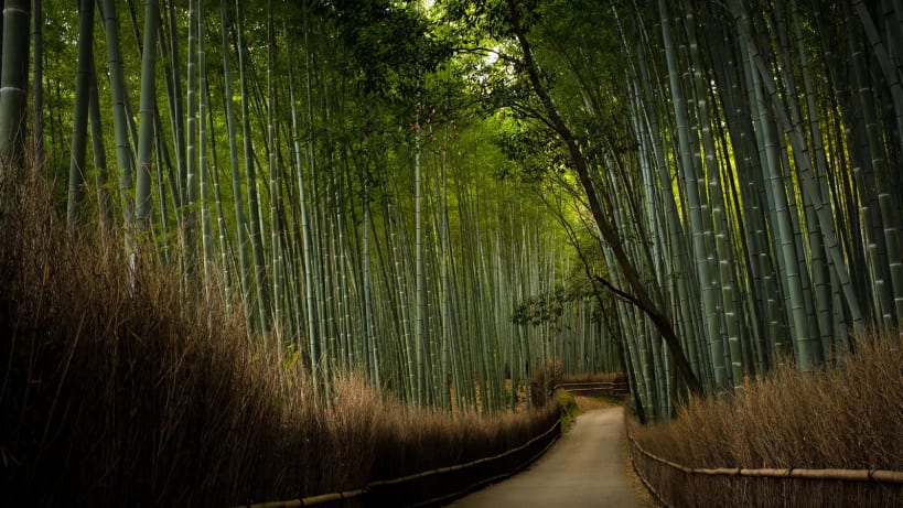 Japanese Temples 17 Stunning Shrines Travelers Will Love Cnn Travel