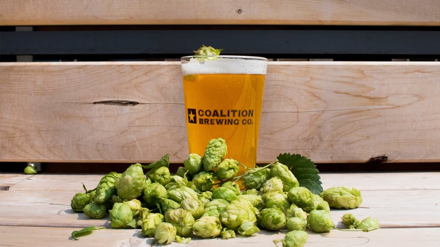 coalition brewing CBD beer