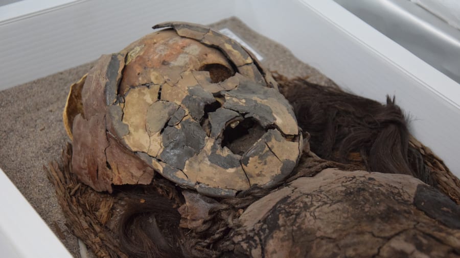 06 Chinchorro mummies