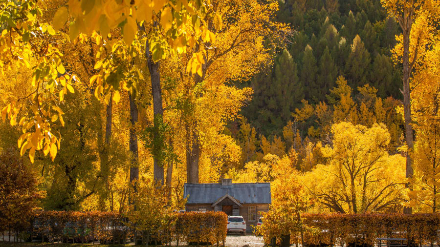 16 New Zealand beautiful places Arrowtown