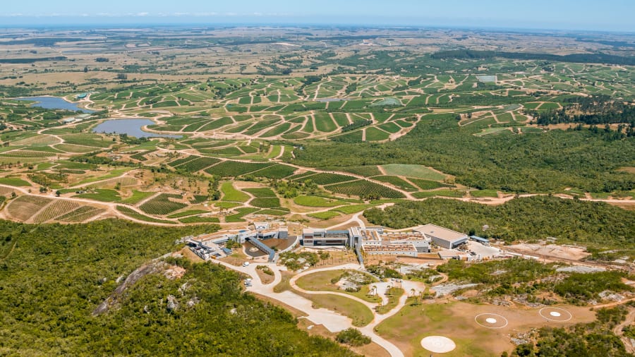 10 Bodega Garzon winery Uruguay