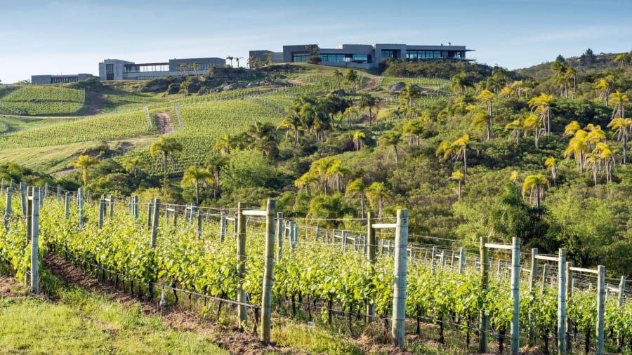 03 Bodega Garzon winery Uruguay