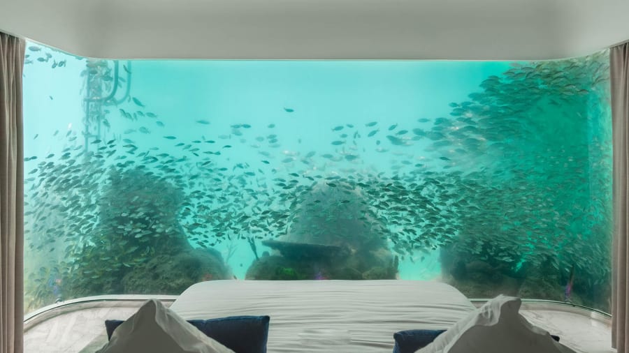 Floating Seahorse Aquarium in Bedroom photo digital (5)