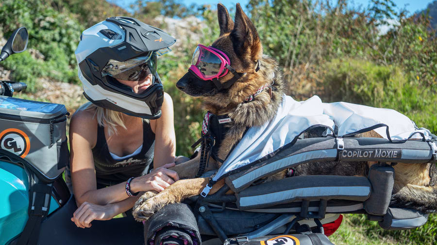04 woman riding motorcycle around the world with dog Guatemala