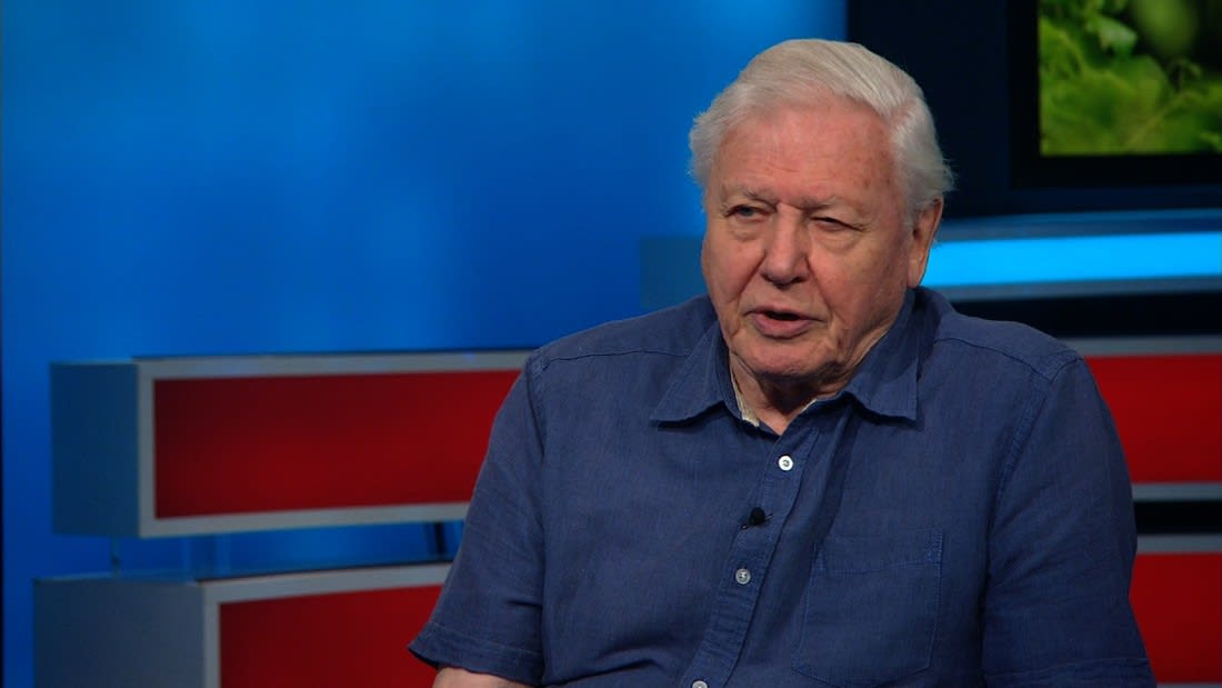 David Attenborough reflects on his incredible life - CNN Video