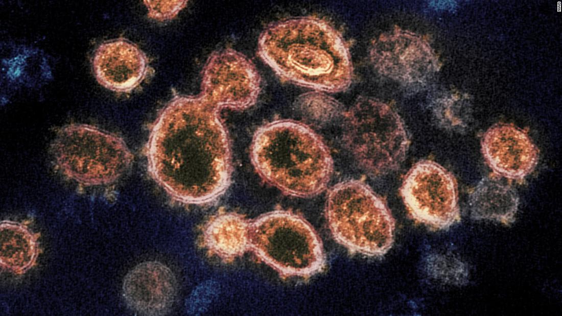 The US can defeat coronavirus variants with the right tools, White House adviser says