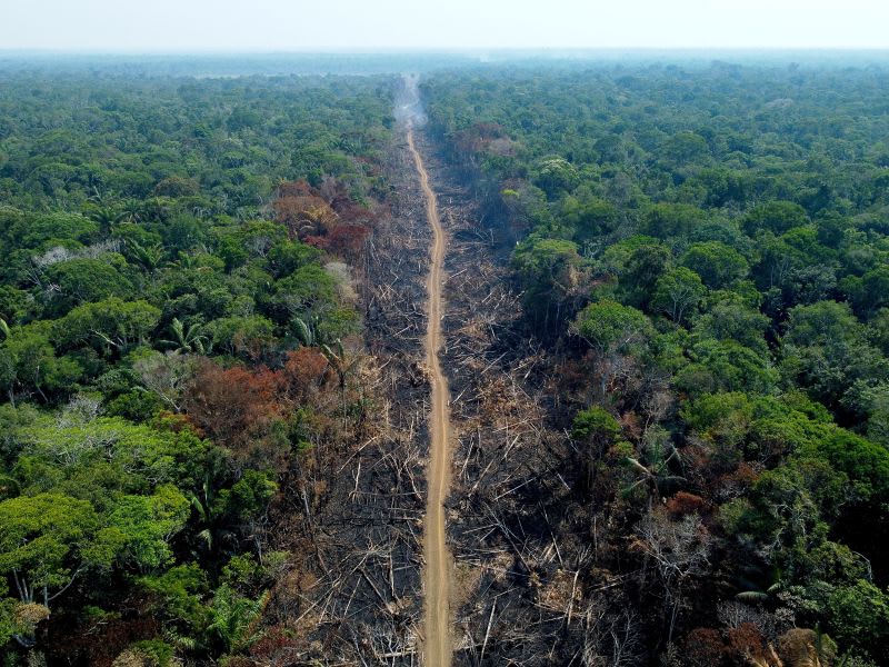 Deforestation is accelerating in Brazil as Bolsonaro's first term ends, experts say | CNN