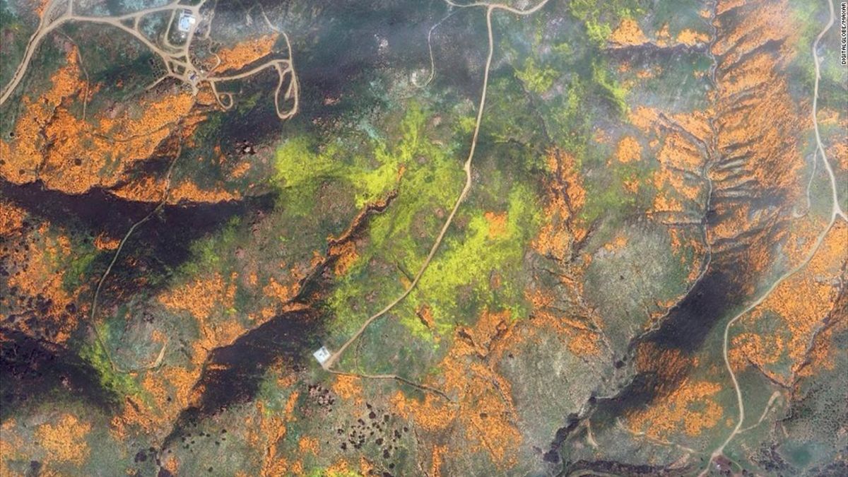 This is how California's wildflower super bloom looks from space | CNN ...