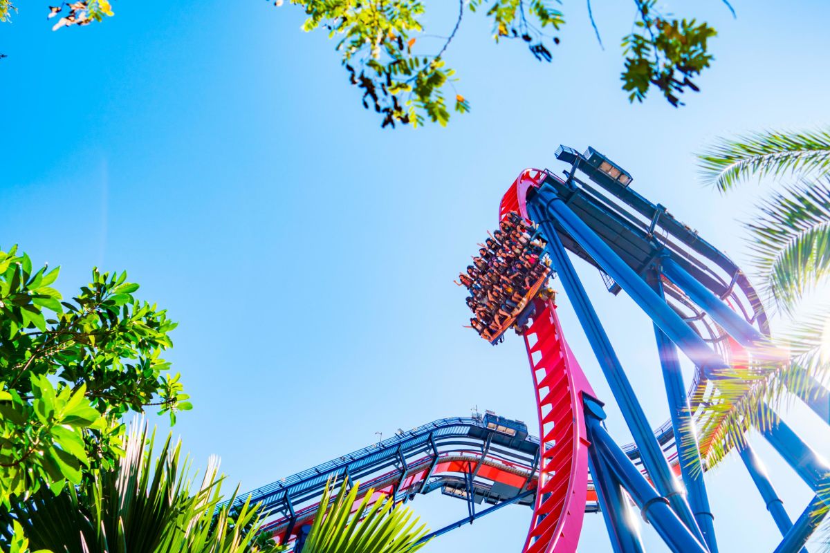 5 Scariest Roller Coaster Drops In The World The Hills That