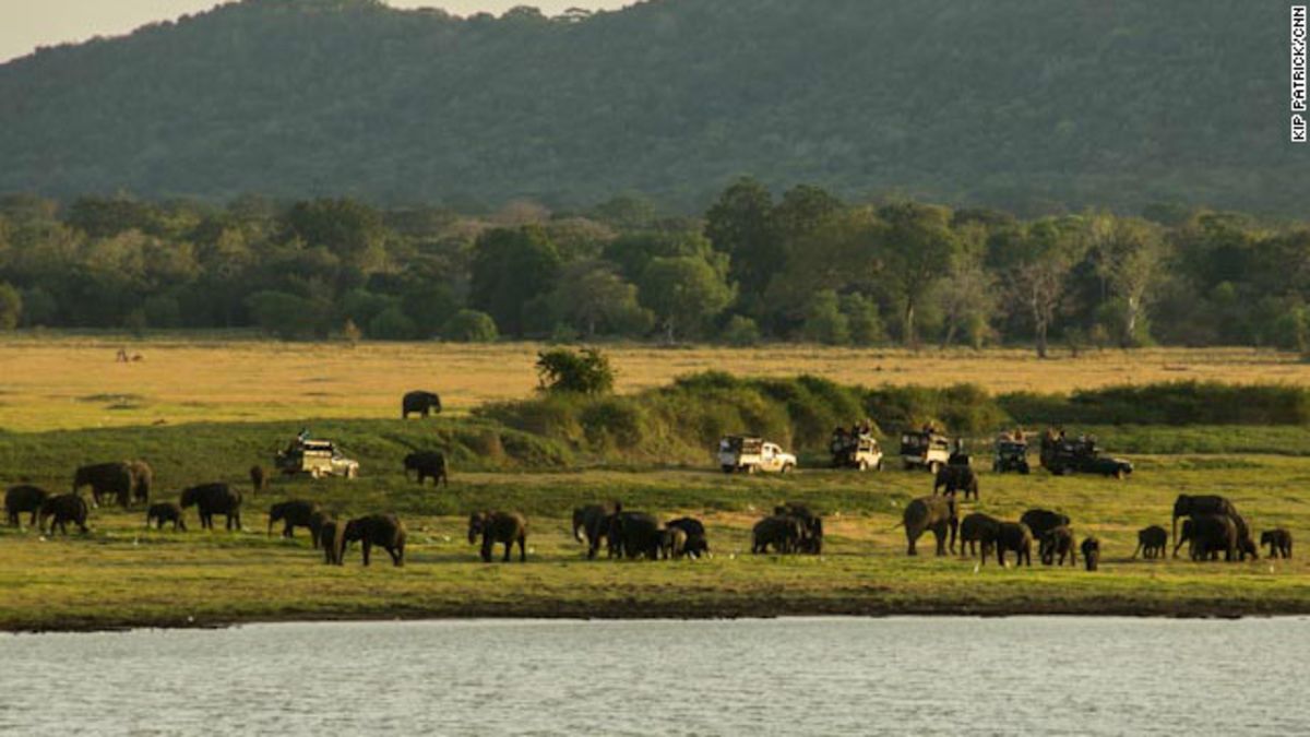 Sri Lanka's great elephant migration | CNN Travel