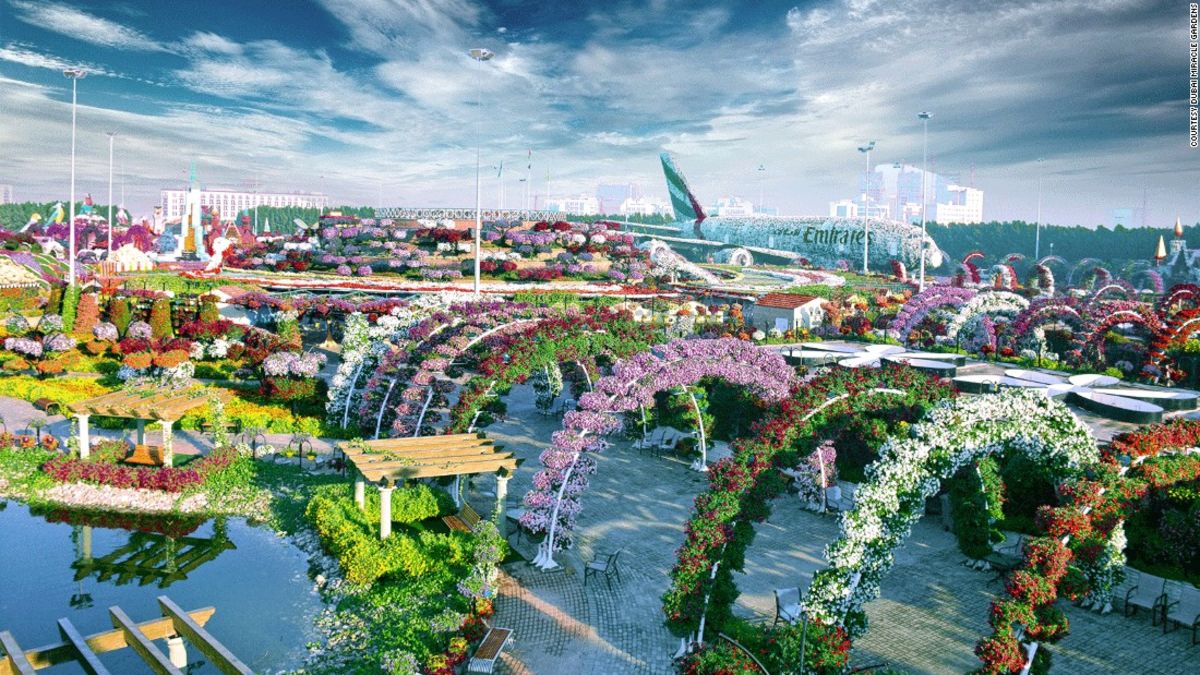 Dubai Miracle Garden: World's largest flower garden | CNN ...