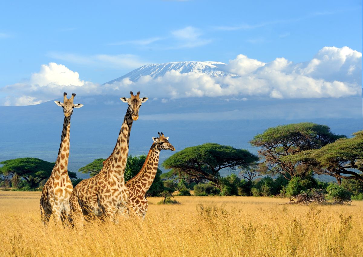 Kenya Travel Guide | CNN Travel