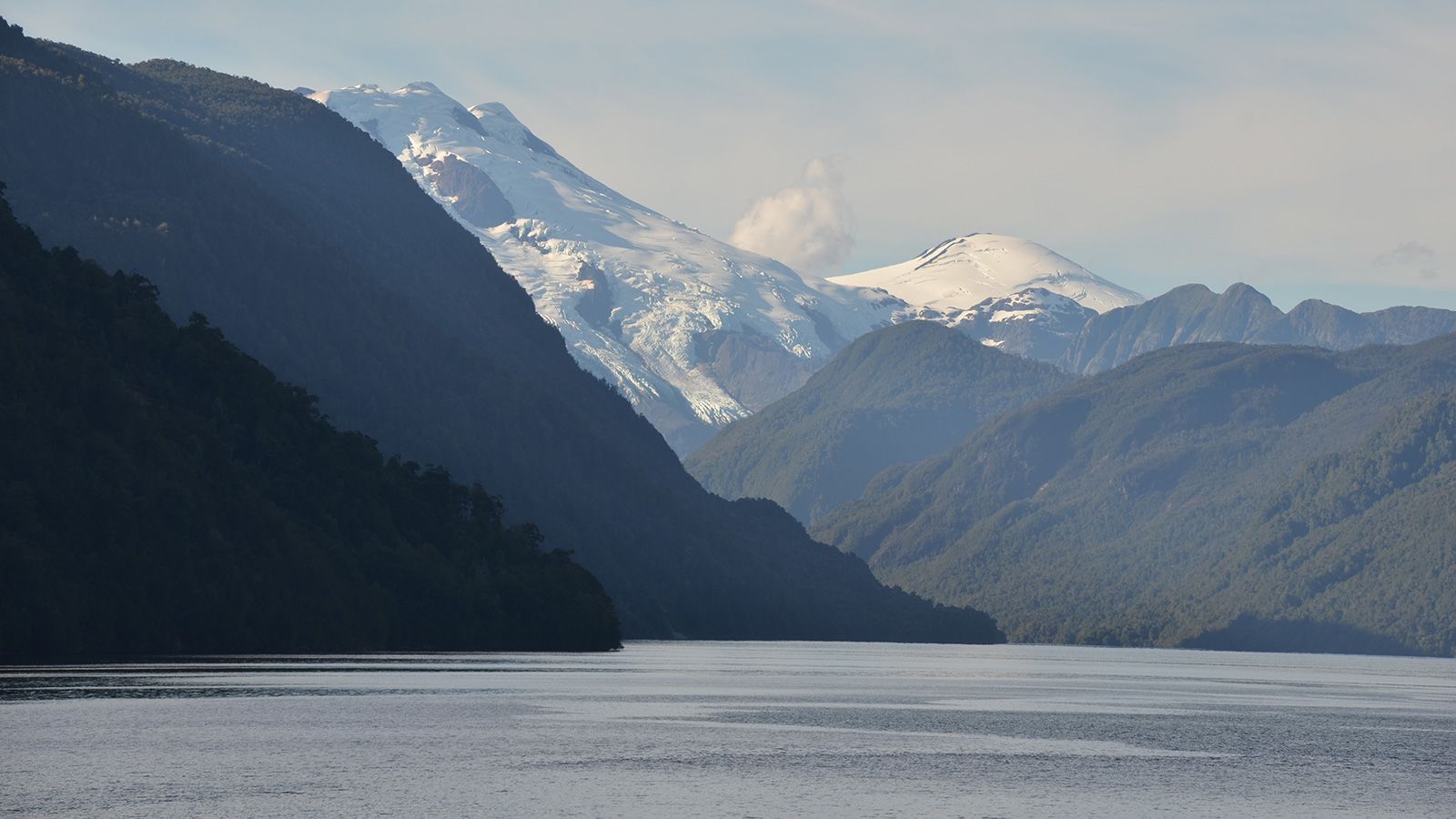 https://dynaimage.cdn.cnn.com/cnn/w_1600/https%3A%2F%2Fcdn.cnn.com%2Fcnnnext%2Fdam%2Fassets%2F220629091640-13-patagonia-elusive-animals.jpg