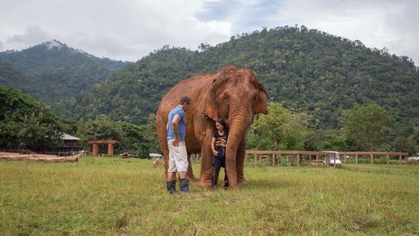 "Elephants teach me a lot," says Sangdeaun, pictured here with Quest. "They have this love that humans don't have. A love for life, unconditional love -- and this is what we have to learn from them." Image: CineBeau.com/CNN