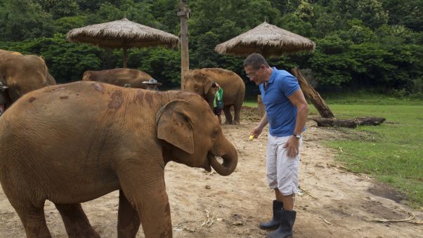 the elephants aren't shy when it's time for a snack. Image: Cinebeau.com/CNN