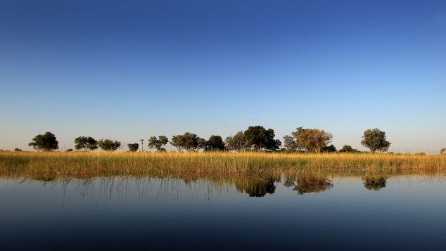 The Okavango Delta is the world's largest inland delta and home to an array of wildlife.