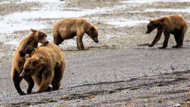 02 Bill Weir Alaska 