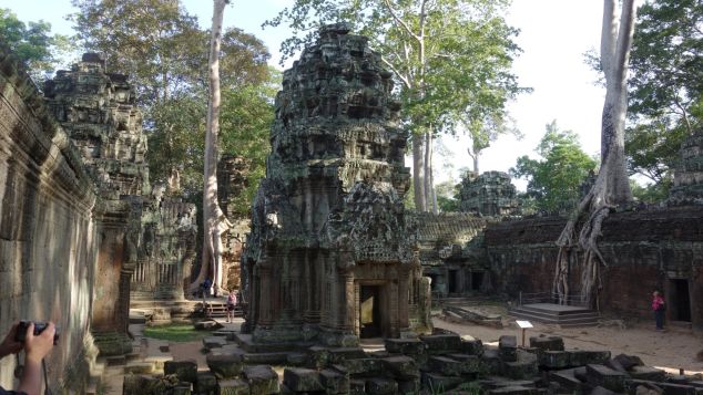 Spot these fIg tree roots at Angkor Wat, Cambodia. 