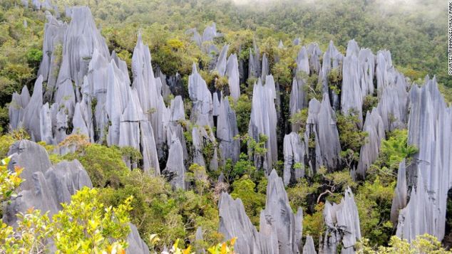 Malaysia ©Pinnacles (Mulu WH)