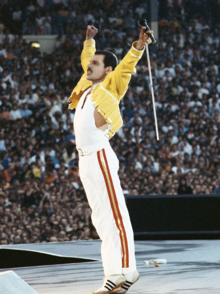Freddie Mercury Magnetic Personality