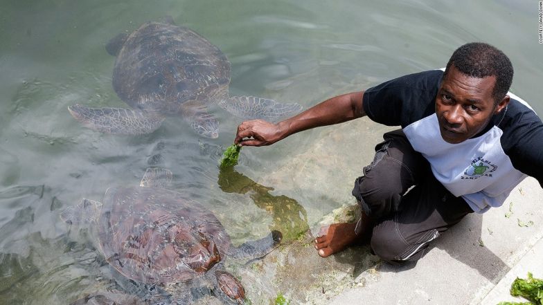 The zanzi-best of Zanzibar.